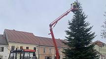 Vánoční strom už stojí také na náměstí v Třešti, i tam ho rozsvítí první adventní neděli.
