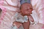 Dominik Púčik ze Solnice se narodil 7. září 2019 ve 20,04 hodin mamince Adéle a tatínkovi Lukášovi. Jeho míry byly 3620 gramů a 50 centimetrů. Doma se na brášku těšili sourozenci Elenka (6 let) a Daniel (8 let).