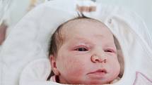 ANABEL LIA ZAVŘELOVÁ z Jablonce nad Nisou se narodila v náchodské porodnici 22. března 2017 v 6.27 hodin. Její míry byly 3440 gramů a 48 centimetrů. Z holčičky se radují rodiče Michaela a Milan Zavřelovi a sourozenci Michaela Mia a Sebastián Franz.