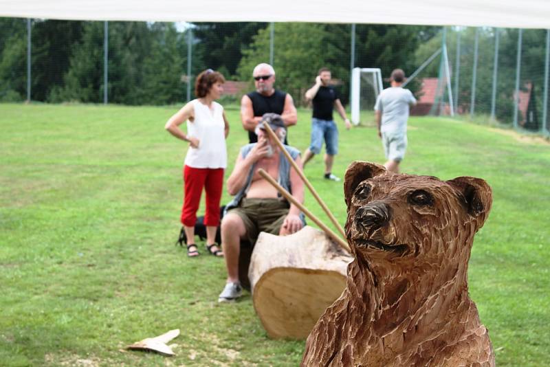 Do kmene hned vidět není, proto se medvěd narodil s jizvou