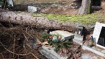 Škody na náchodském hřbitově, které způsobil nedávný silný vítr, uhradí majitelům hrobů město.