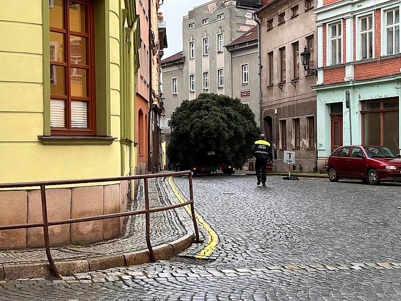 Na Mírovém náměstí v Broumově od dnešní deváté hodiny stojí vánoční jedle. Na výzdobu si musí ale ještě počkat do pondělí.