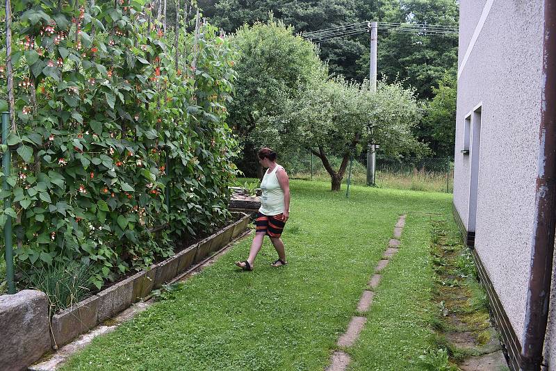 "Tady někde to bylo," ukazuje Sylva Seidlmanová místo na zahradě u popínavých fazolí, kde zmije uštkla jejího syna.