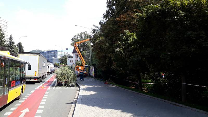 Spadlou větev u autobusové zastávky odstraňovali hasiči ve spolupráci s TS města Náchoda.