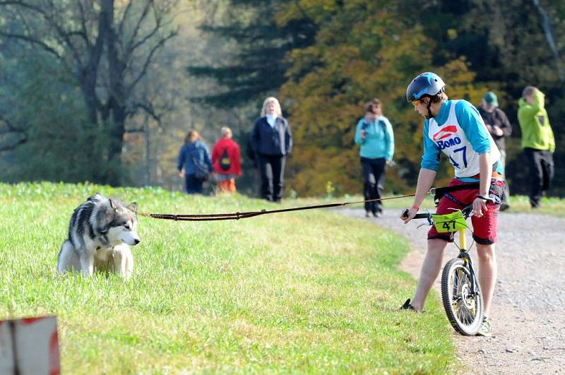 NA OSMNÁCTÝ ROČNÍK evropského poháru závodů psích spřežení přijela stovka musherů a téměř tři stovky psů. 