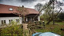 V obci Vršovka nedaleko Nového Města nad Metují spadl vzrostlý strom na dům, poškodil i zaparkovaný automobil.