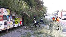 Spadlou větev u autobusové zastávky odstraňovali hasiči ve spolupráci s TS města Náchoda.