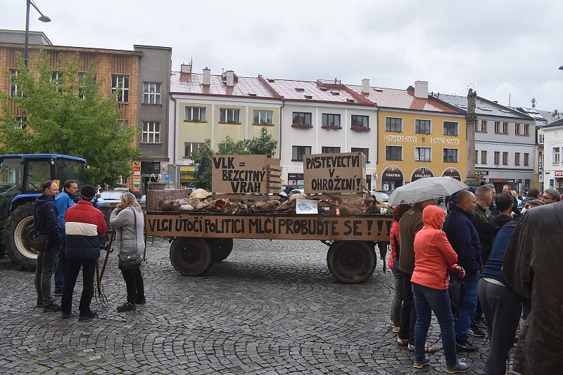 Náchodem v pondělí odpoledne projel valník s těly roztrhaných ovcí, za kterým kráčeli jako za smutečním katafalkem chovatelé ovcí. Ti chtěli veřejně upozornit na to co dokážou vlčí zuby ve stádě ovcí.