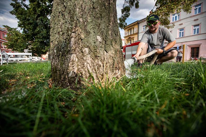 Dobrovolní hasiči z Jaroměře-Jezbin pomáhají ve městě kvůli trvajícímu suchu se zaleváním stromů v Jaroměři.