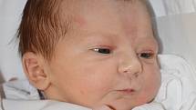 ELLA ČERMÁKOVÁ se narodila 8. srpna 2013 ve 3:49 hodin s váhou 2850 gramů a délkou 48 centimetrů. S rodiči Danielou Řehákovou a Adamem Čermákem bydlí v Dolní Radechové. 