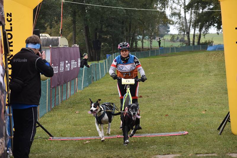 Závody psích spřežení uspořádal v okolí autokempu Brodský červenokostelecký Musher club Metuje. Na startující čekal po dva dny 5,32 km dlouhý okruh. Závěr patřil dětskému canicrossu. Foto: Deník/Jiří Řezník