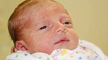 NIKOL SRBOVÁ se narodila 23. září 2013 ve 12:07 hodin s váhou 2545 g a délkou 49 cm. S rodiči Marií a Vladimírem bydlí v Náchodě. 