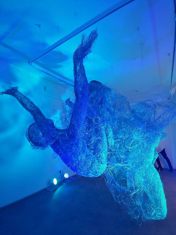 Způsobem site-specific, tedy přímo pro výstavní prostor, do Galerie výtvarného umění v Náchodě nainstalovala sochařka Veronika Psotková své rozměrné figurální, modře nasvícené dílo vytvořené z drátů a nazvané Esence. Foto: kr