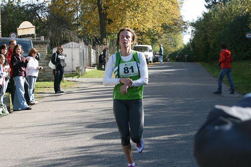 Padesátý ročník Ceny Metuje, Memoriálu M. J. Horáčka v běhu na 10 kilometrů.