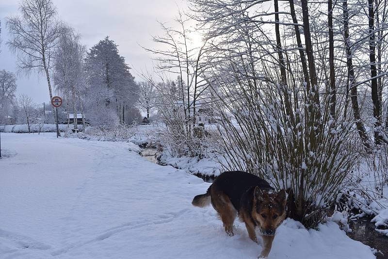 Na rozloučenou se zima dnes ráno vzedmula k poslednímu sněhovému vzkazu.