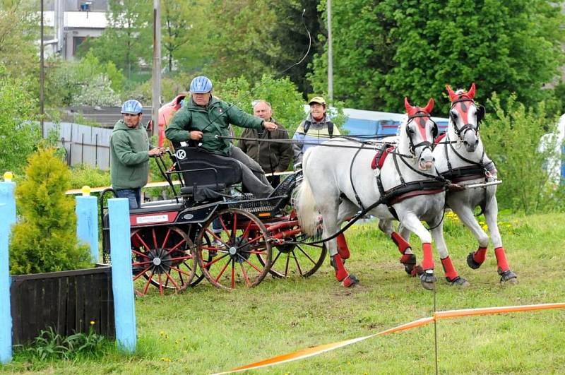 Závody světového poháru koňských spřežení v Polici nad Metují. 