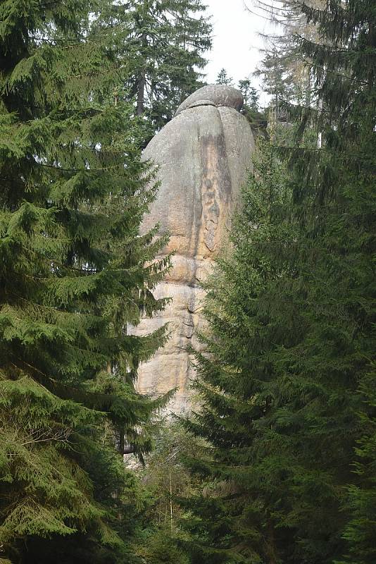 Na dvou místech u turistické Pánovy cesty v Polických stěnách se se souhlasem Správy CHKO Broumovska měnila podoba skal. Ty překážely bezeškodnému vyvezení vytěženého kůrovcového dřeva, tak musely ustoupit technice.