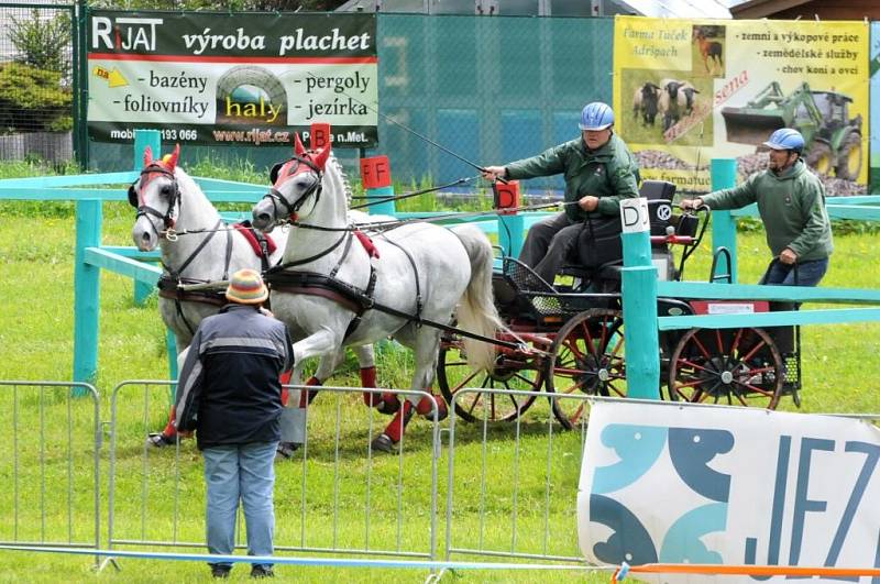 Závody světového poháru koňských spřežení v Polici nad Metují. 