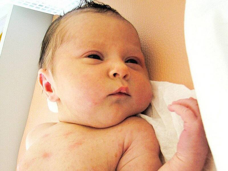 NELA SEMERÁKOVÁ se narodila 26. dubna 2010 v 7:55 hodin s váhou 3100 gramů a délkou 46 centimetrů. S rodiči Šárkou a Jaroslavem má domov v Hronově.