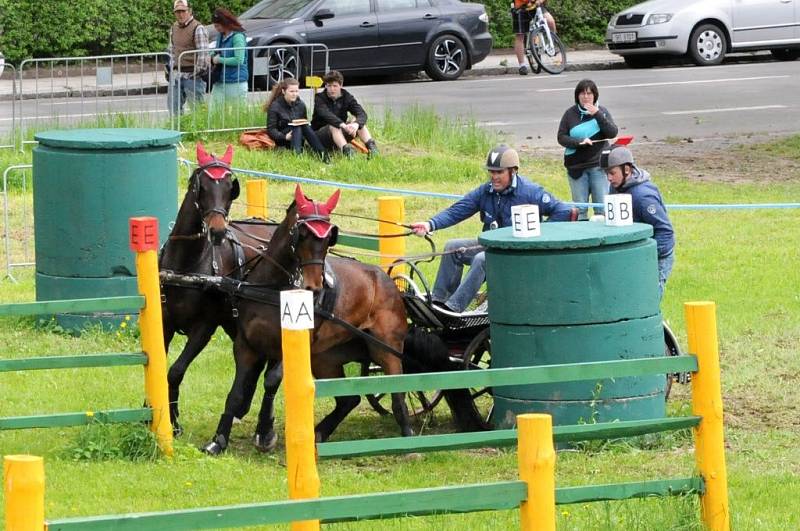 Závody světového poháru koňských spřežení v Polici nad Metují. 