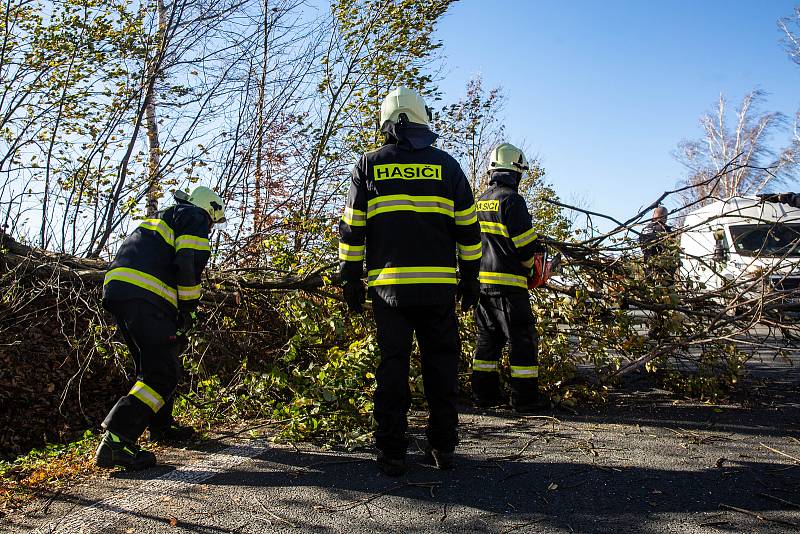 Spadlý strom v Novém Městě nad Metují. Od pondělního odpoledne do dnešního rána zasahovaly profesionální i dobrovolné jednotky hasičů v Královéhradeckém kraji v souvislosti se silným větrem u 30 událostí. Nejvíce práce mají jednotky na Hradecku, Rychnovsk