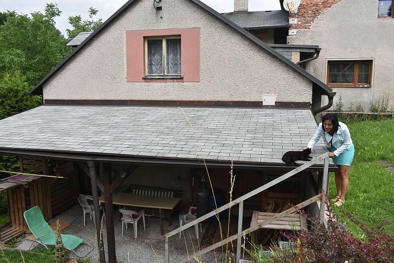 Nejhůře se asi se stěhováním vypořádá čtyřnohý obyvatel domácnosti. Foto: Deník/Jiří Řezník