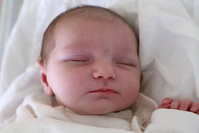 Klára Patrná ze Rtyně v Podkrkonoší je prvním děťátkem Kateřiny Formanové a Jana Patrného. Narodila se 3. listopadu 2018 v 17,18 hodin, vážila 3325 gramů a měřila 48 centimetrů.