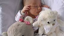 ROSE MARY se narodila 11. září 2017 v 5.26 hodin. Její míry byly 3200 gramů a 47 centimetrů. Rodiče Simona Kohlová a Jonathan King bydlí v obci Machov Bělý.
