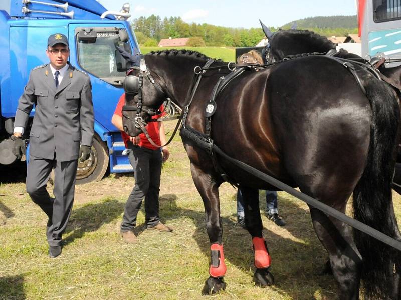 ZÁVODY SVĚTOVÉHO POHÁRU v jízdě koňských spřežení hostí do neděle závodiště Jana Čermáka v Polici nad Metují. 