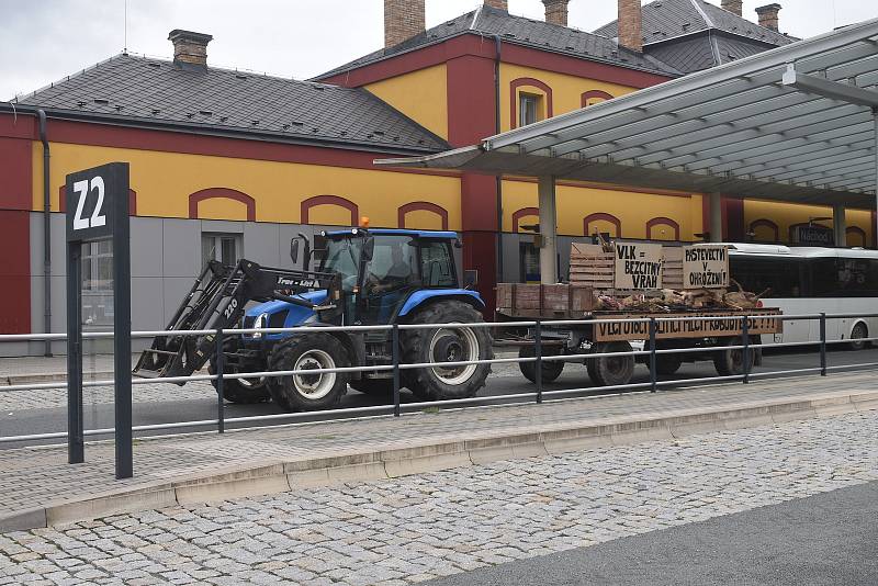 Náchodem v pondělí dopoledne projel valník s těly roztrhaných ovcí, za kterým kráčeli jako za smutečním katafalkem chovatelé ovcí. Ti chtěli veřejně upozornit na to co dokážou vlčí zuby ve stádě ovcí.