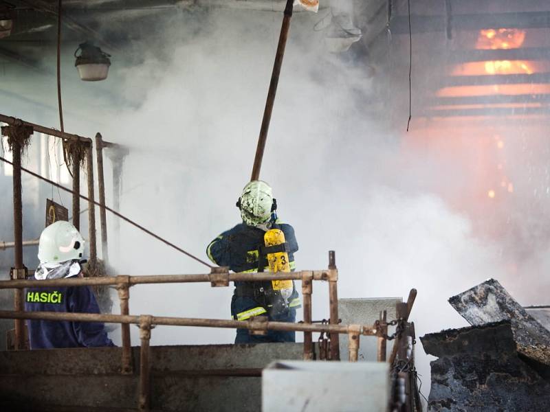 Škodu za zhruba 4,5 milionu korun způsobil včera po poledni požár zemědělské budovy v obci Borová na Náchodsku.