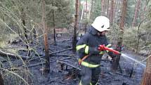 Požár lesa u Hynčic.