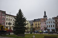 Na Mírovém náměstí v Broumově stojí vánoční jedle.