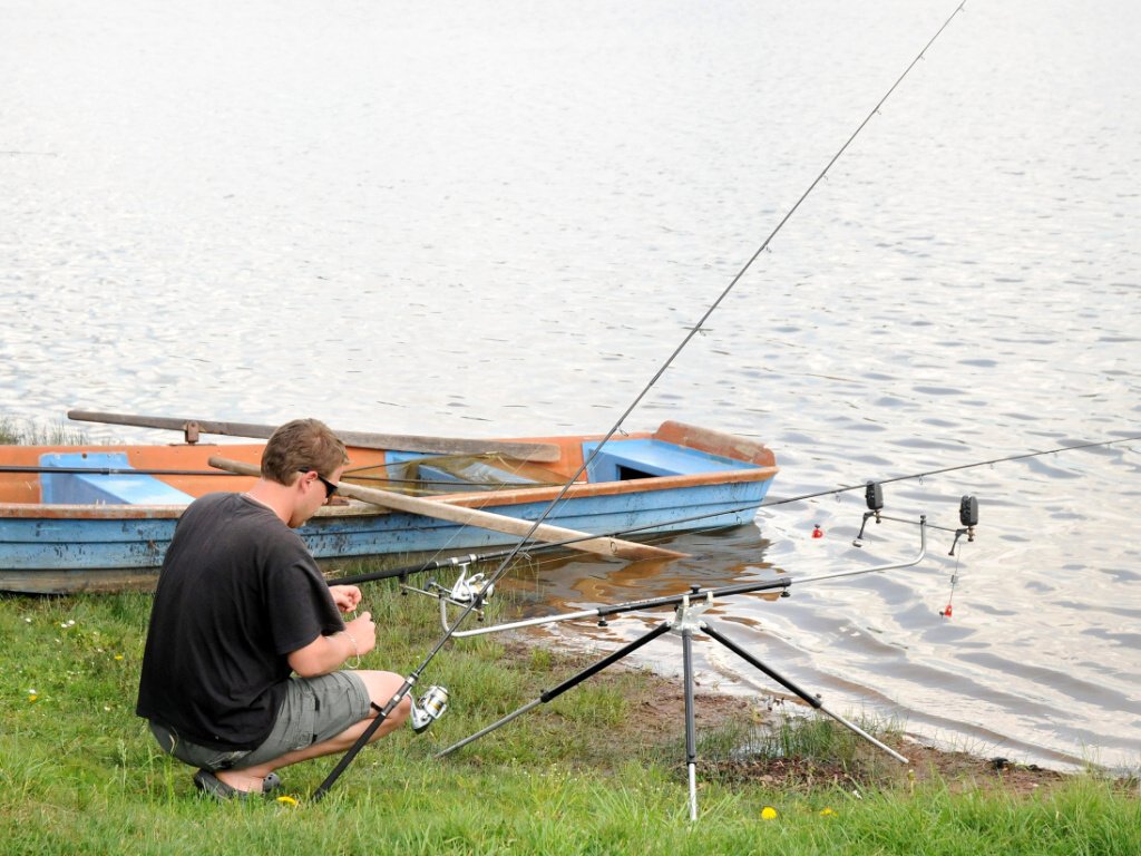 Z rybníku Brodský byly vyloveny téměř dvě tuny ryb - Náchodský deník