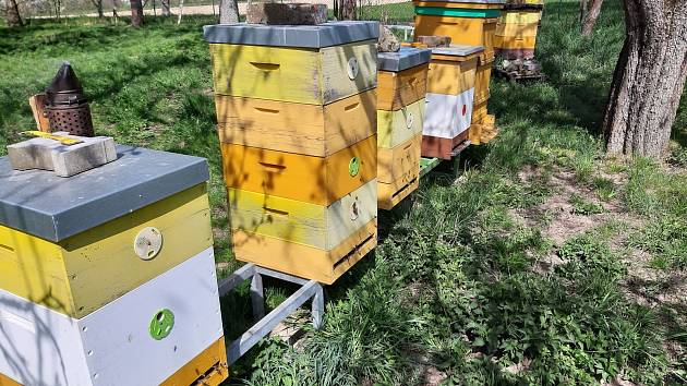 Nákup místního medu je totiž to nejlepší, co se dá udělat pro přírodu. Jednak spotřebitel přesně ví, od koho med kupuje a z jakého konkrétního místa. Může si za lžičkou medu představit konkrétního včelaře. A navíc tak lidé podporují chov včel v místě svéh
