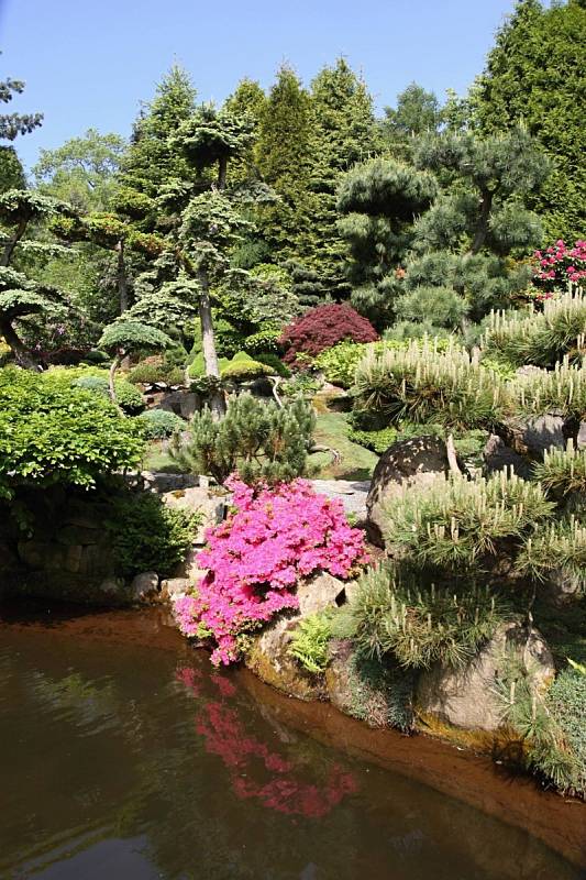 Japonská zahrada v polském Jarkowě.