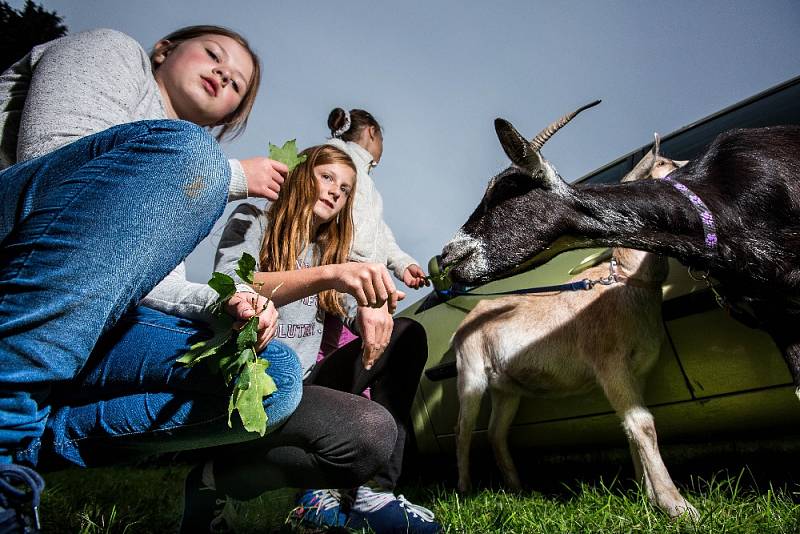 Úterní festivalový program byl z velké části zaměřen zejména na nejmenší diváky. Dnes se festival přehoupl do své druhé poloviny.