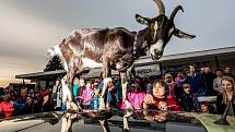 Úterní festivalový program byl z velké části zaměřen zejména na nejmenší diváky. Dnes se festival přehoupl do své druhé poloviny.