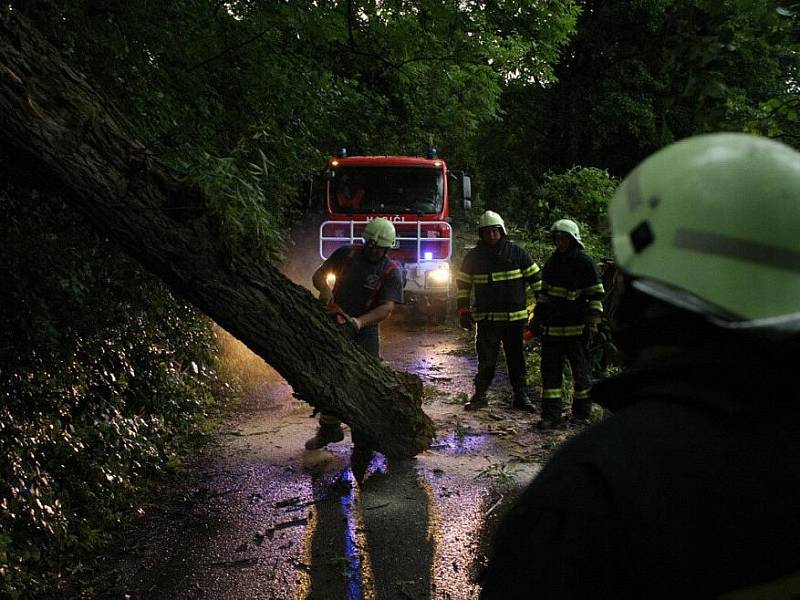 Bouřka se silným větrem si vyžádala okolo čtyřiceti vyvrácených a polámaných stromů. Fotografie jsou pořízeny na cestě z Žernova do Studnic a ve Všelibech.