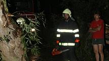 Bouřka se silným větrem si vyžádala okolo čtyřiceti vyvrácených a polámaných stromů. Fotografie jsou pořízeny na cestě z Žernova do Studnic a ve Všelibech.