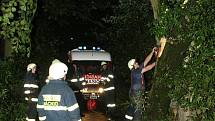 Bouřka se silným větrem si vyžádala okolo čtyřiceti vyvrácených a polámaných stromů. Fotografie jsou pořízeny na cestě z Žernova do Studnic a ve Všelibech.