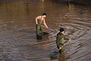 Největší z trojice Hynčických rybníků na Broumovsku vydal při sobotním výlovu přes 1600 kaprů.