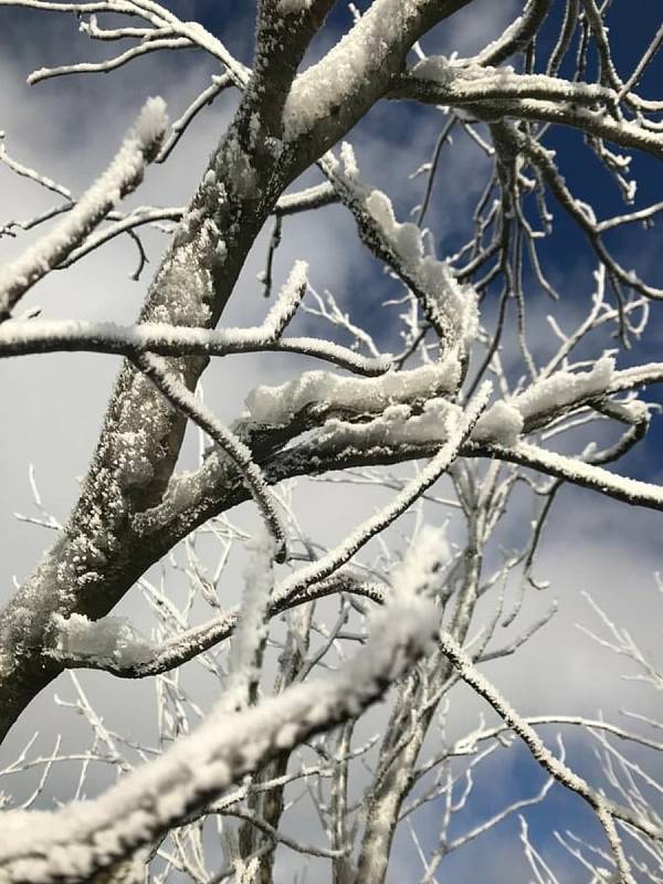 Krásné fotografie z víkendových zimních radovánek poslala do redakce Karolína Žďárská z Náchoda. S rodinou a kamarády si užívali sněhu nejen při bobování, ale i během výletu na rozhlednu na vrchu Šibeniku u Nového Hrádku.