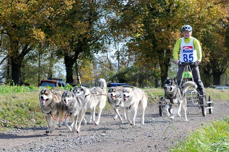 NA OSMNÁCTÝ ROČNÍK evropského poháru závodů psích spřežení přijela stovka musherů a téměř tři stovky psů. 