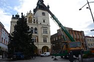 Vánoční strom na Masarykově náměstí v Náchodě.