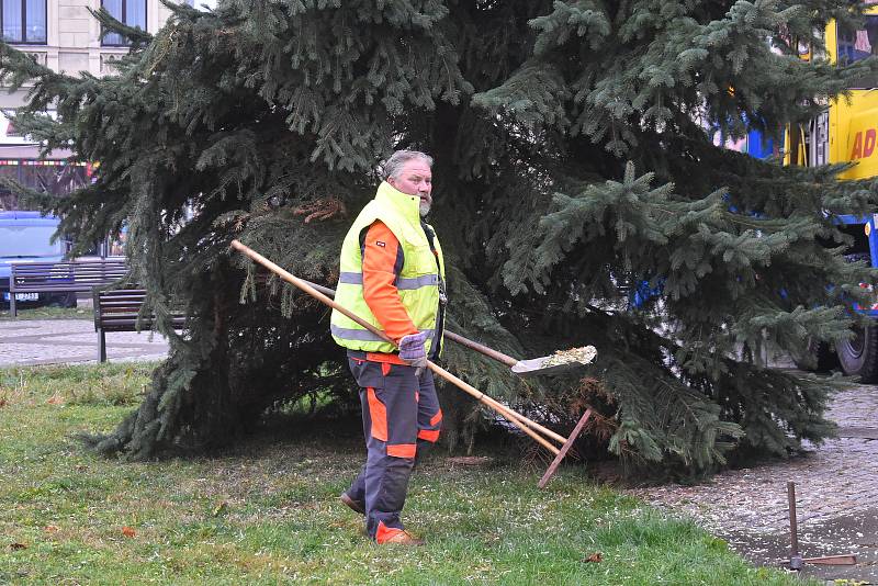 Na Mírovém náměstí v Broumově od dnešní deváté hodiny stojí vánoční jedle. Na výzdobu si musí ale ještě počkat do pondělí.