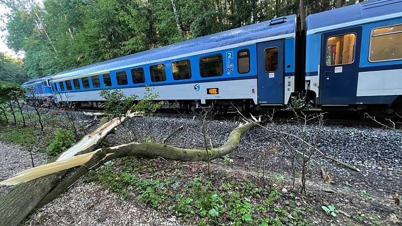 Po 7. hodině najel vlak do spadlého stromu v kolejišti na trase mezi Studnicí a Starkočí na Náchodsku.