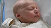 SAMUEL HUBÁČEK se narodil 27. července 2011 ve 14:52 hodin s váhou 2850 g a délkou 47 cm. S rodiči Marií Nejedlou a Romanem Hubáčkem má domov v Náchodě.          