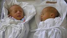 TÝNA A NELA VÍTKOVY se narodiliy 15. července 2011. Týna (vlevo) v 19:52 hodin s váhou 2540g a délkou 47 cm. Dvojčátko Nela ve 20:10 hodin s váhou 2150g  a délkou 45cm. S rodiči Klárou a Lukášem mají domov  v Náchodě.  