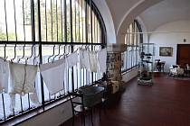 Spolu s uvolněním vládních opatření otevřelo své prostory také Muzeum Boženy Němcové v České Skalici.